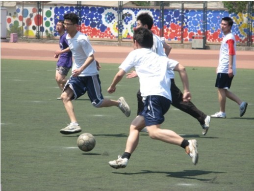 整个联盟 整个联盟