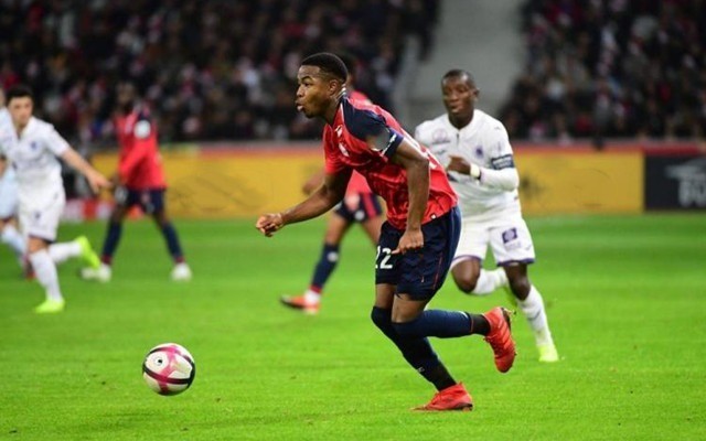 独行侠成功 独行侠成功